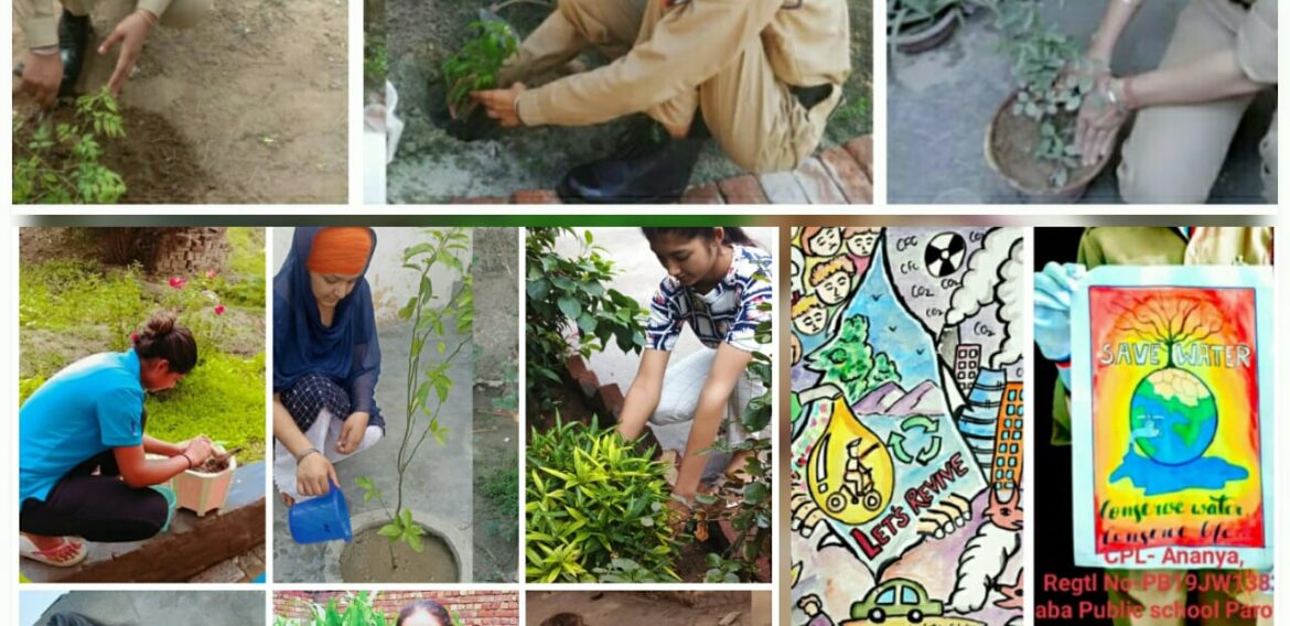 NSS and NCC wing of Kamla Nehru College for Women, Phagwara celebrated World Environment Day