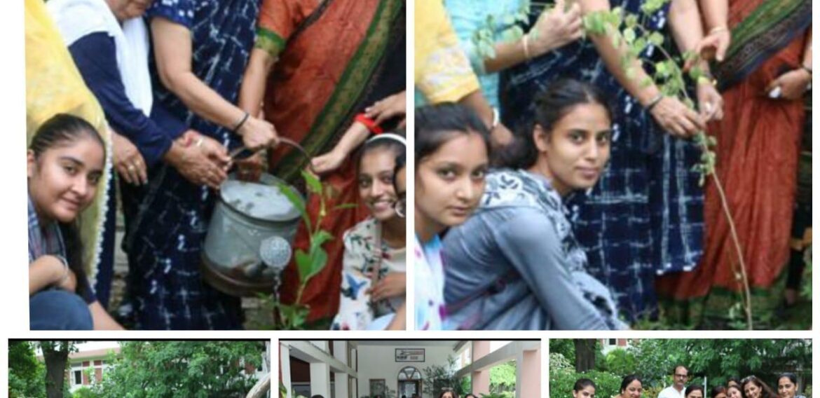 Kamla Nehru College for Women organizes  Forest Festival ‘Van Mahotsav’